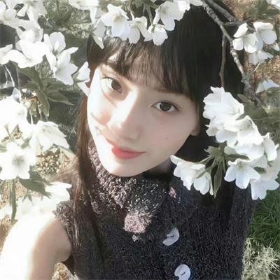 高蒂传